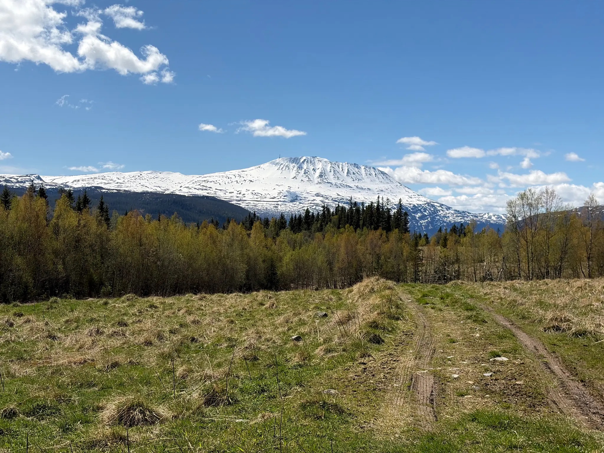 1888m hohe Gaustatoppen von der ehemaligen Menkhus Alm