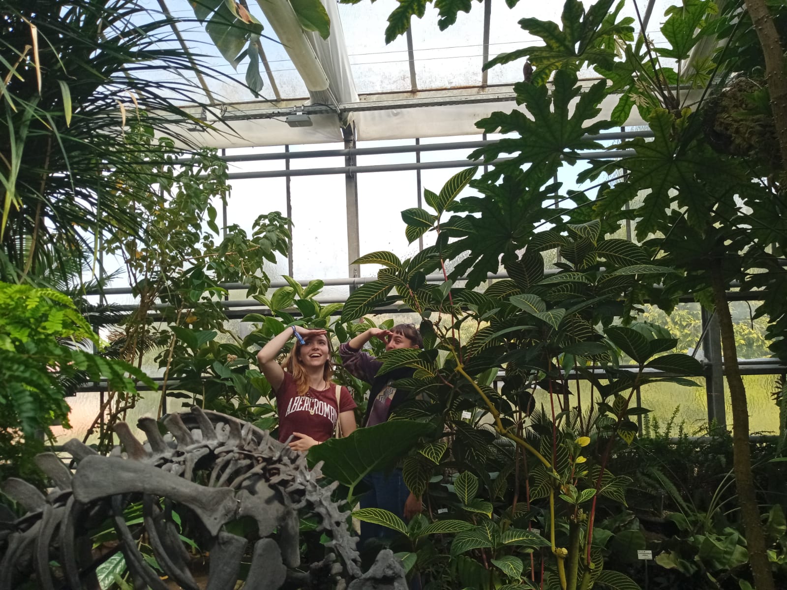Botanical Garden Nancy 