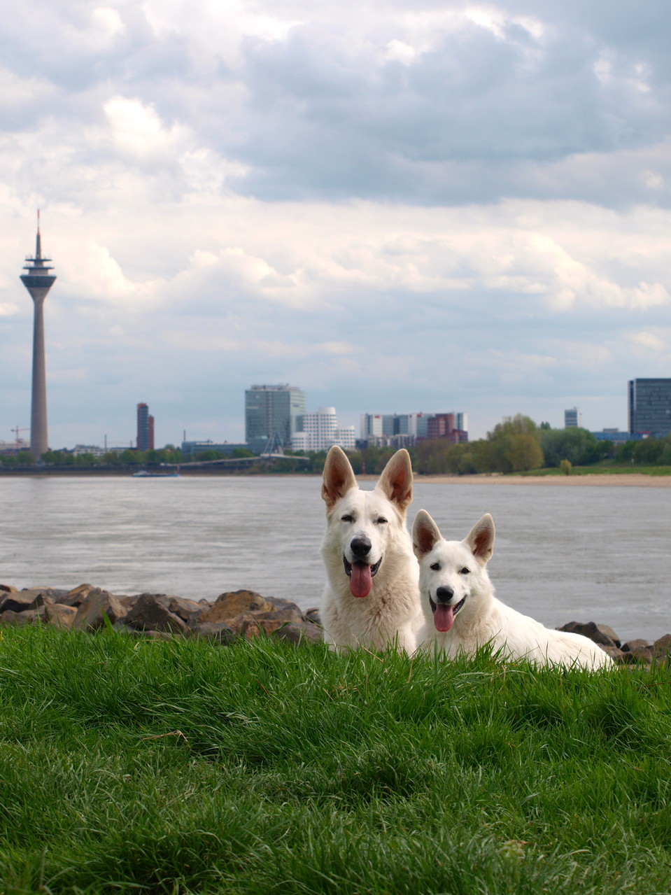 mit Fernsehturm