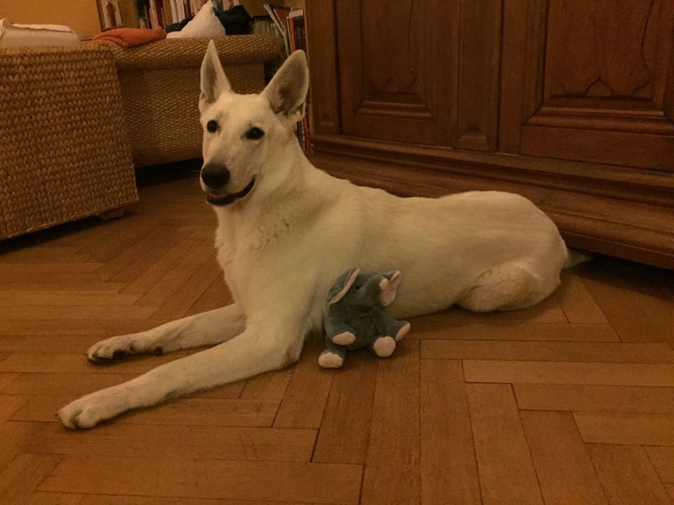 an seinem 1. Geburtstag