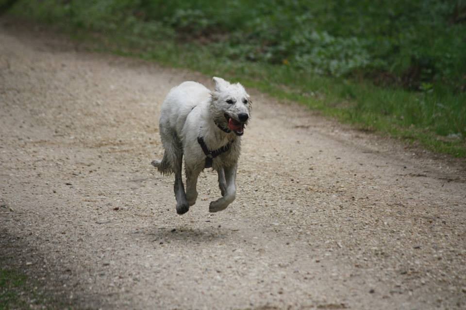 Flying Aiyana