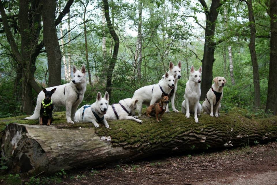 Gruppenbild