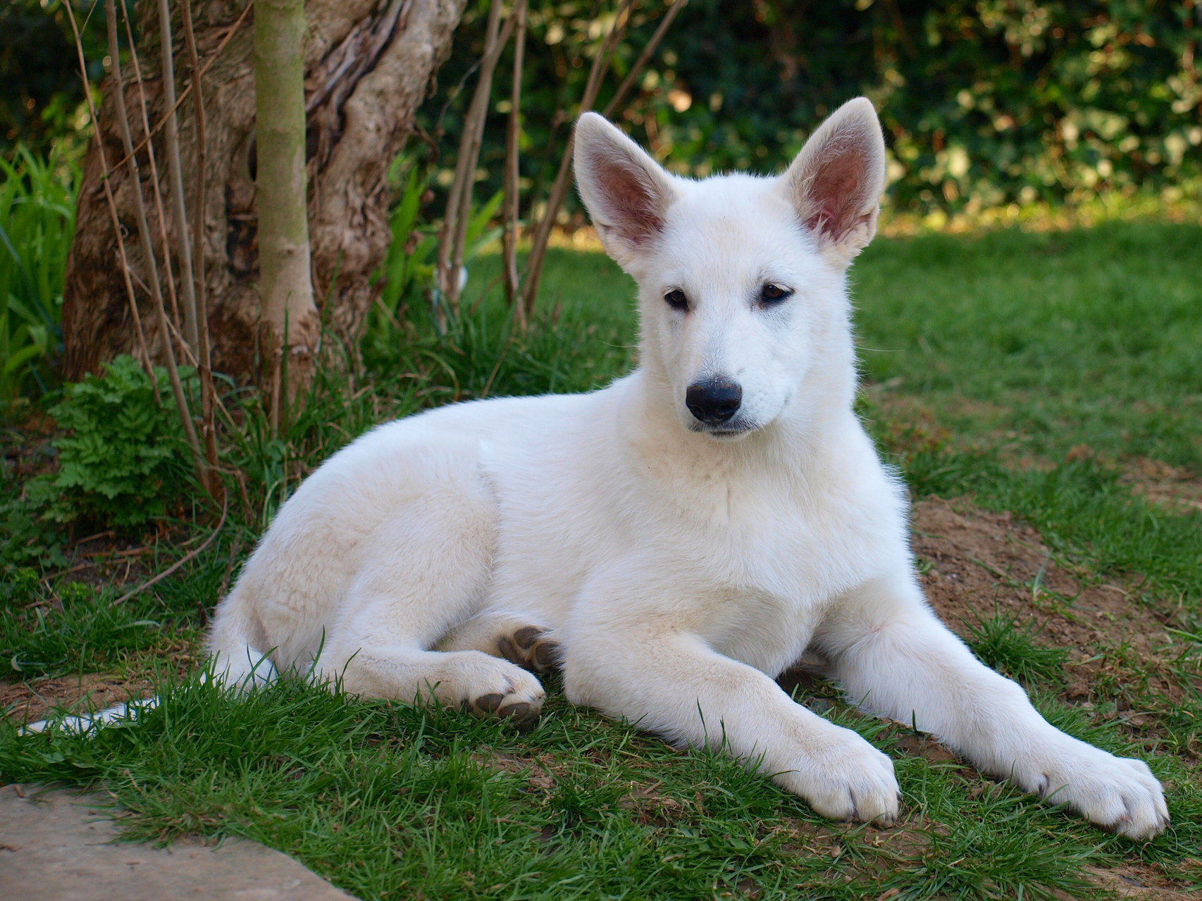 Prinzessin