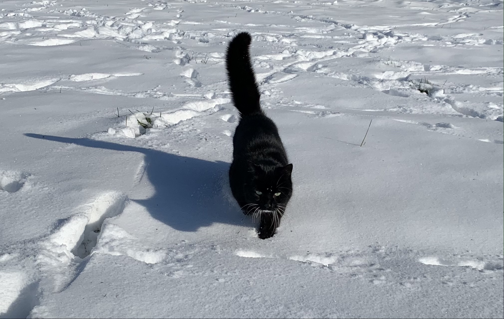Kasper genießt auch das schöne Wetter