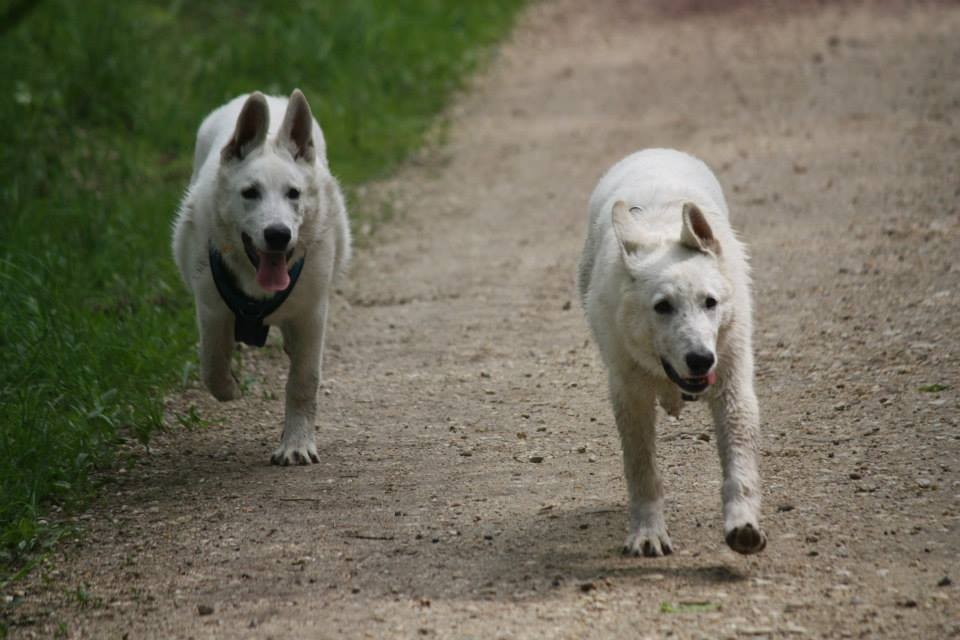 Akira und Milow
