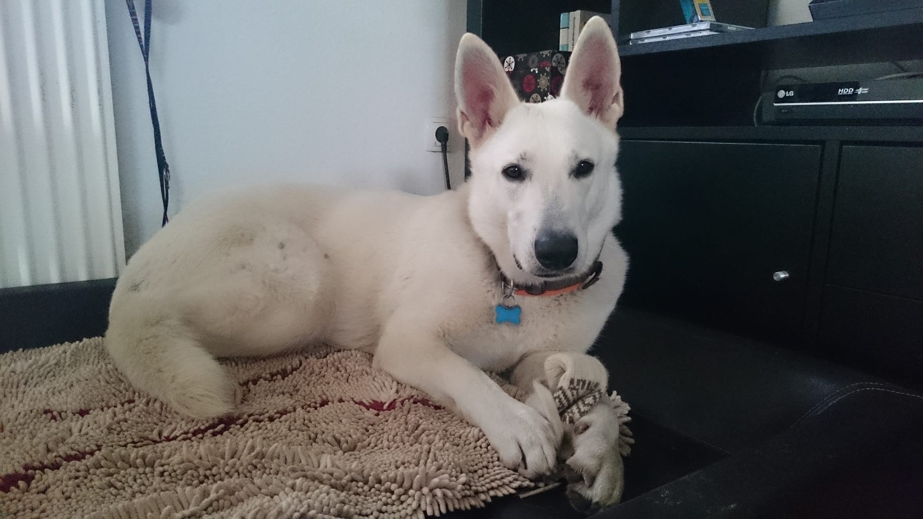 Akira, 2 Jahre