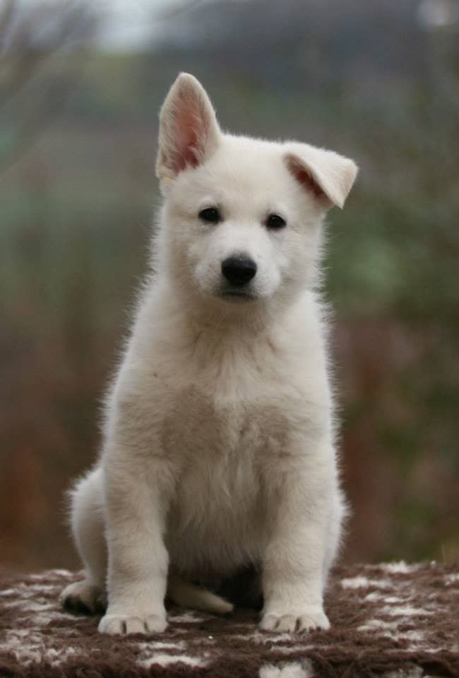 Milow, 7,5 Wochen