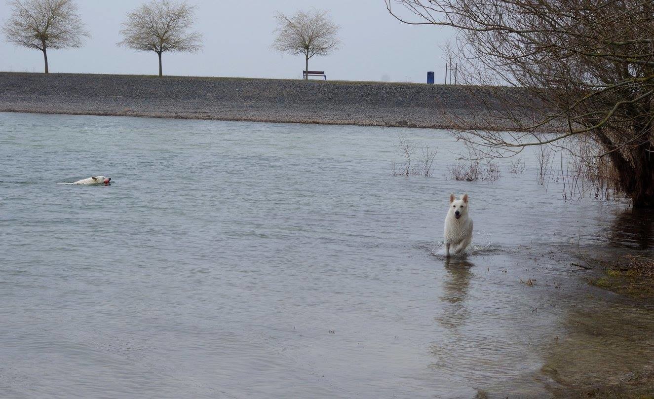 traumhafte Umgebung