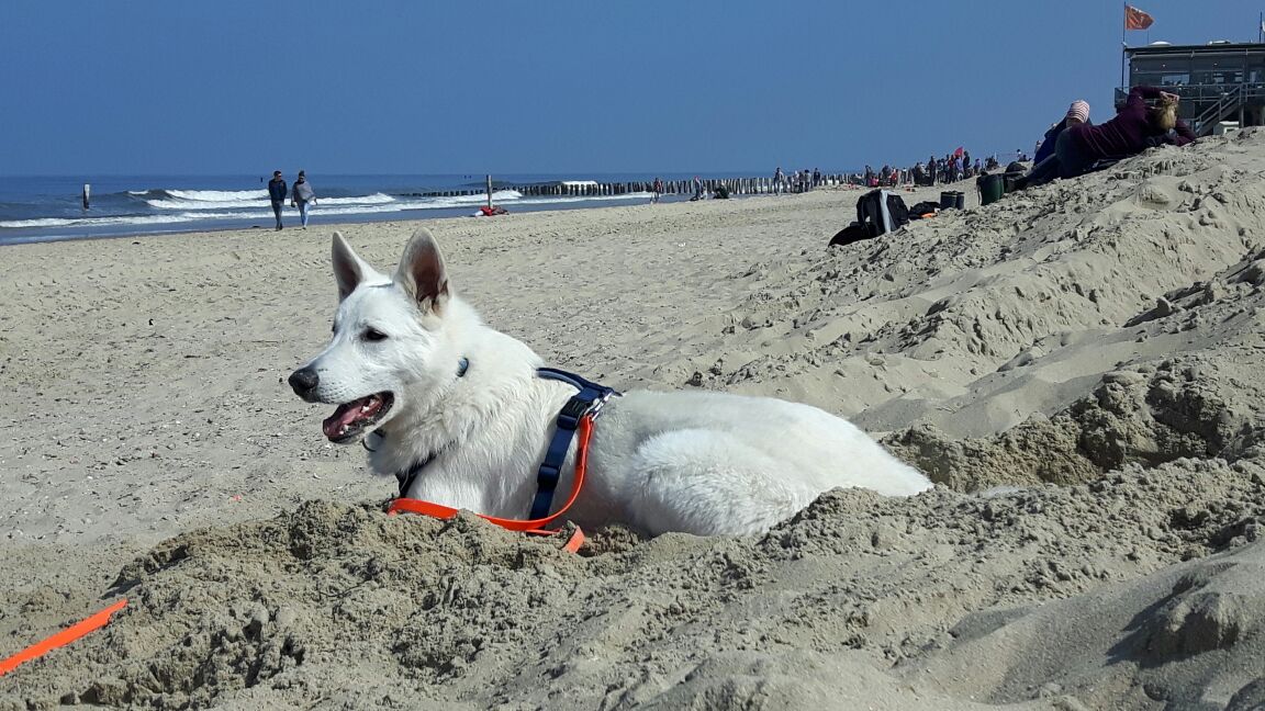 im Urlaub