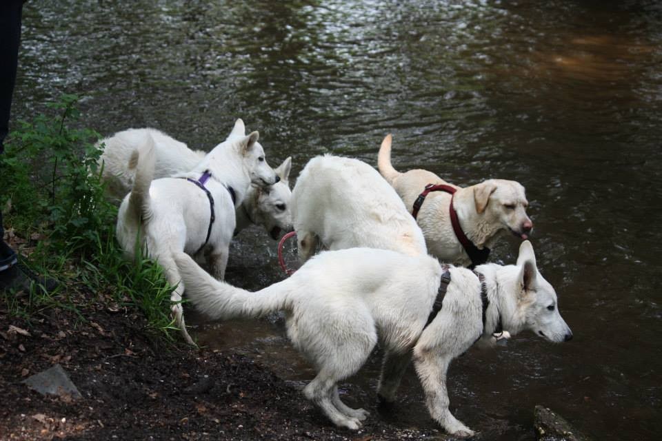 alle ans und ins Wasser