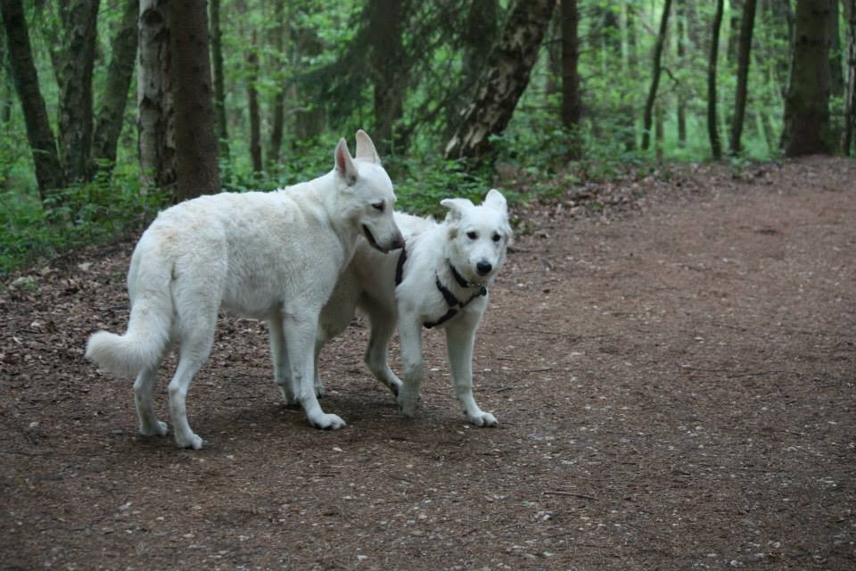 Gaia, Aiyana