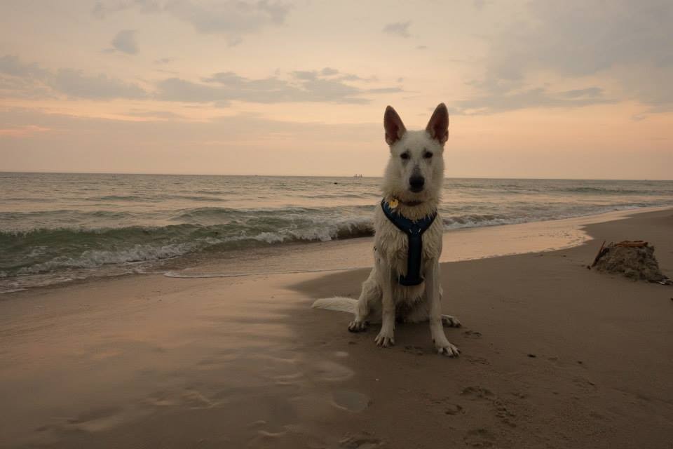 Ihr erster Urlaub am Meer