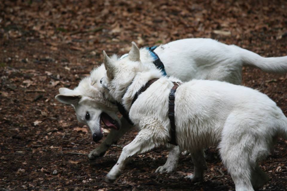 Akira und Milow