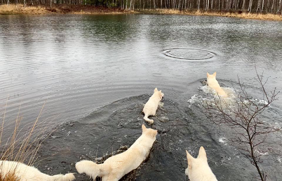 Wasser!!!