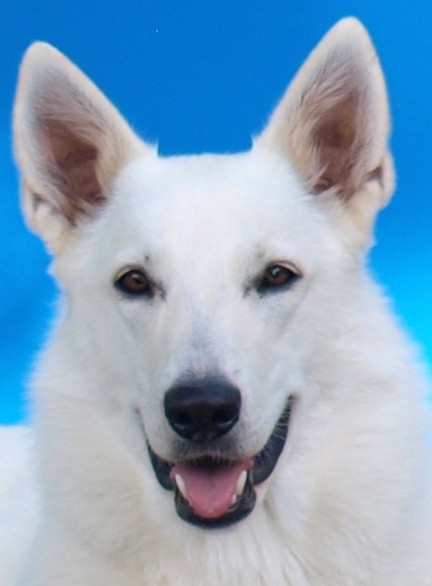 Milka, fast 2 Jahre