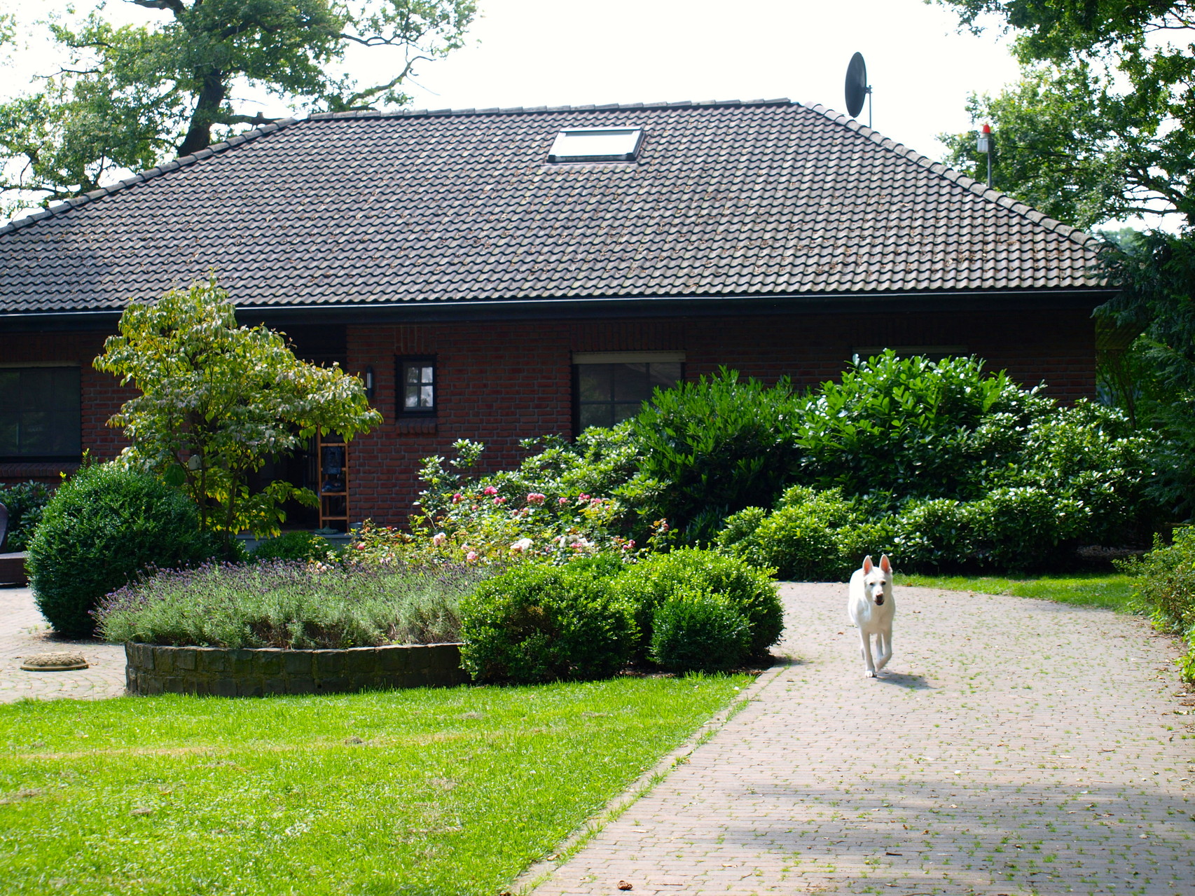 Das neue Zuhause