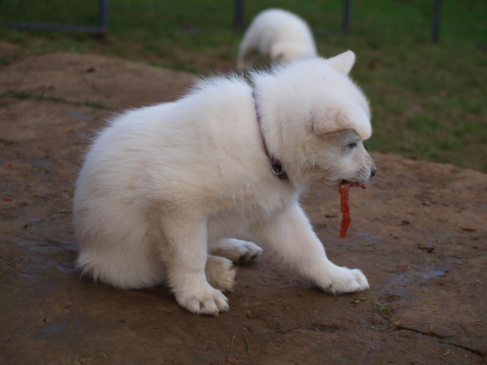 Hm, lecker