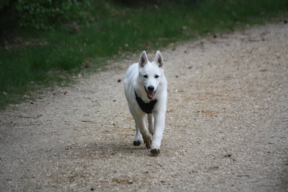 Milka