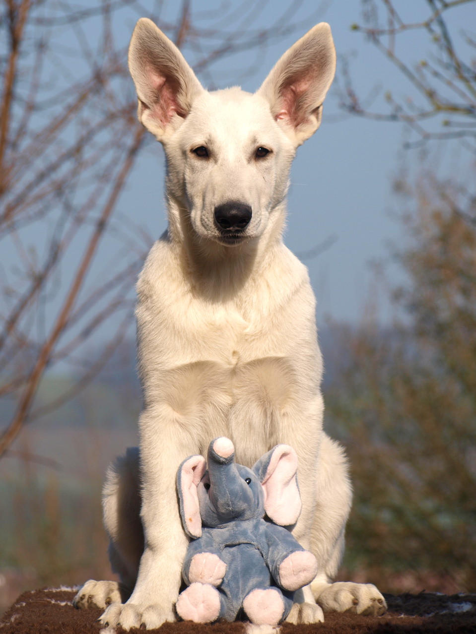 auch er bekommt ein Foto mit seinem Kuscheltier