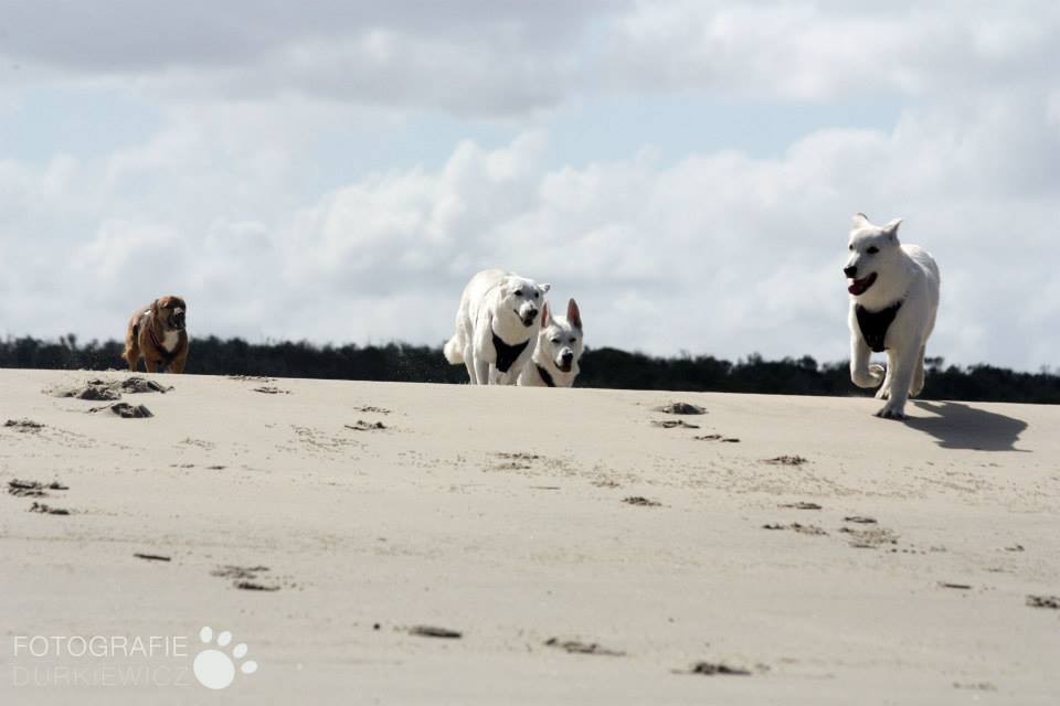 toben, toben, toben