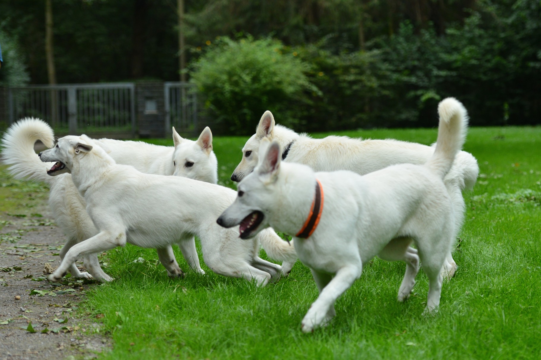 großes Treffen