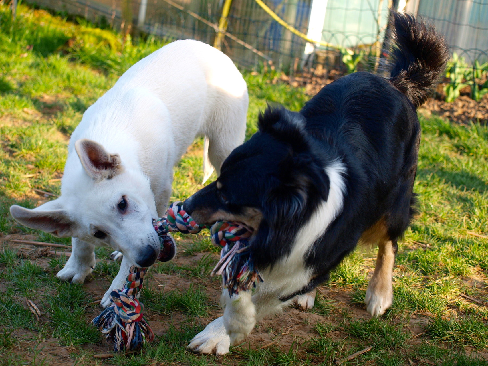 Cody und seine Freundin