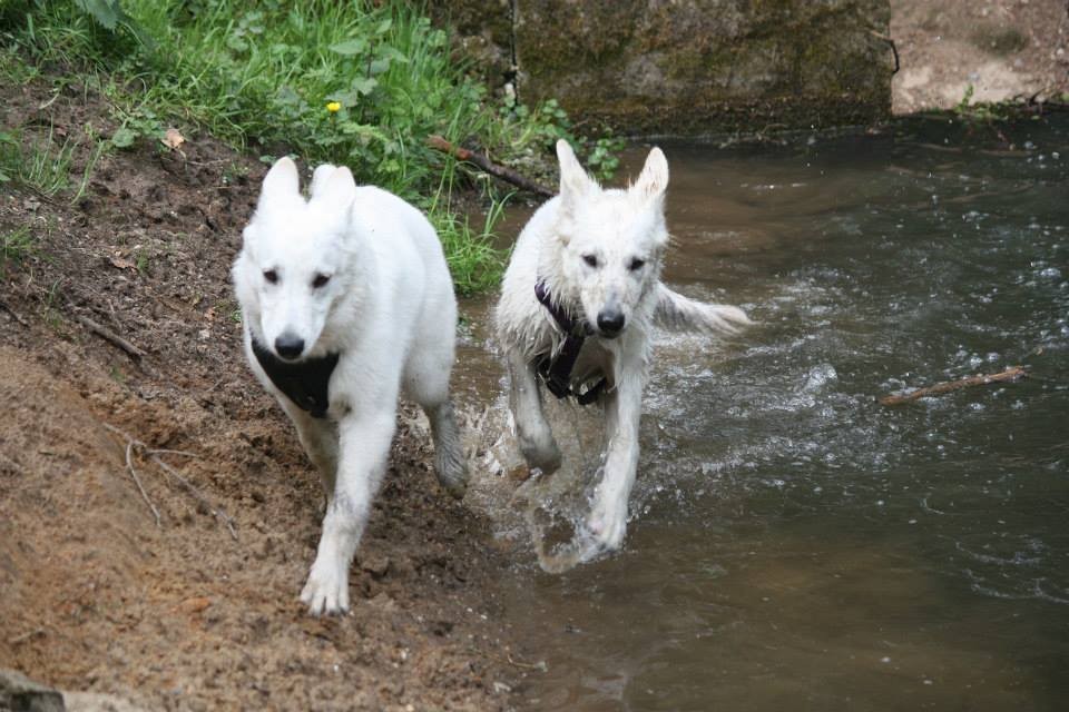 Schwestern: Milka und Aiyana