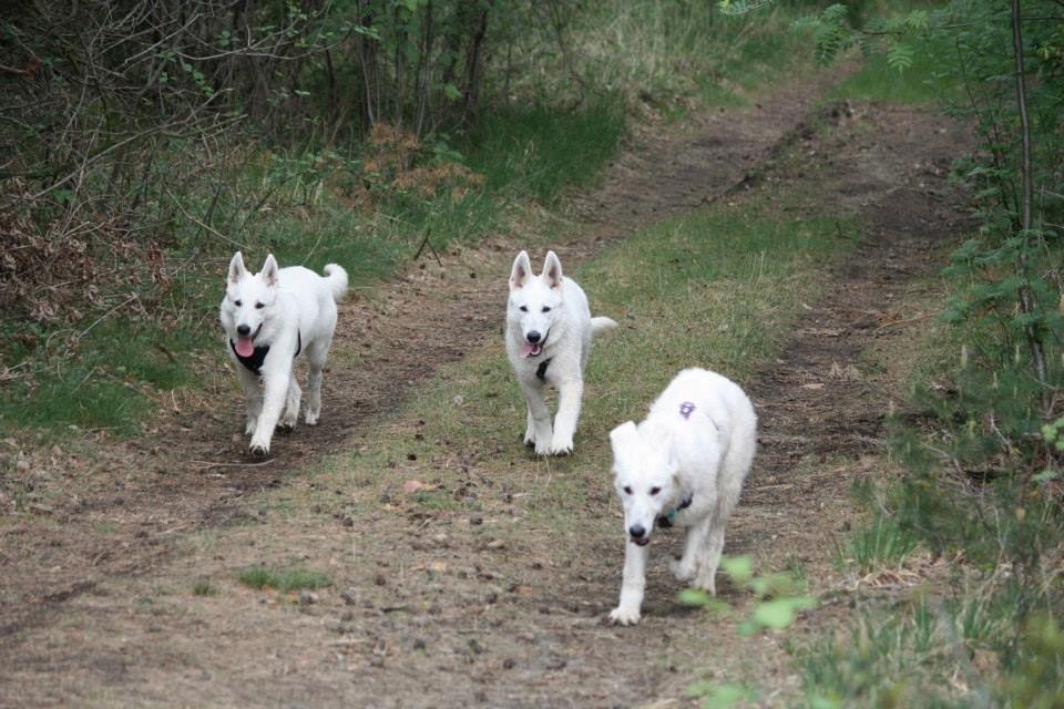 Milka, Milow, Aiyana
