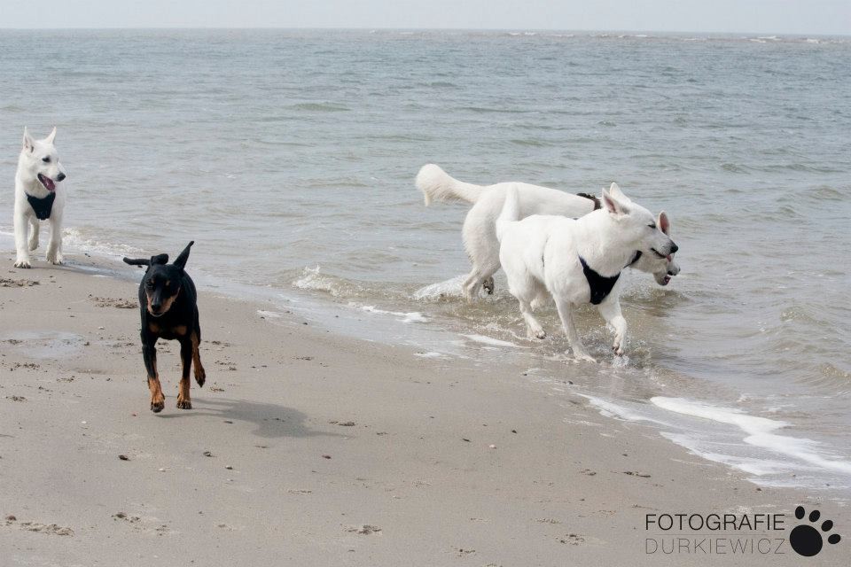Wasser!!!