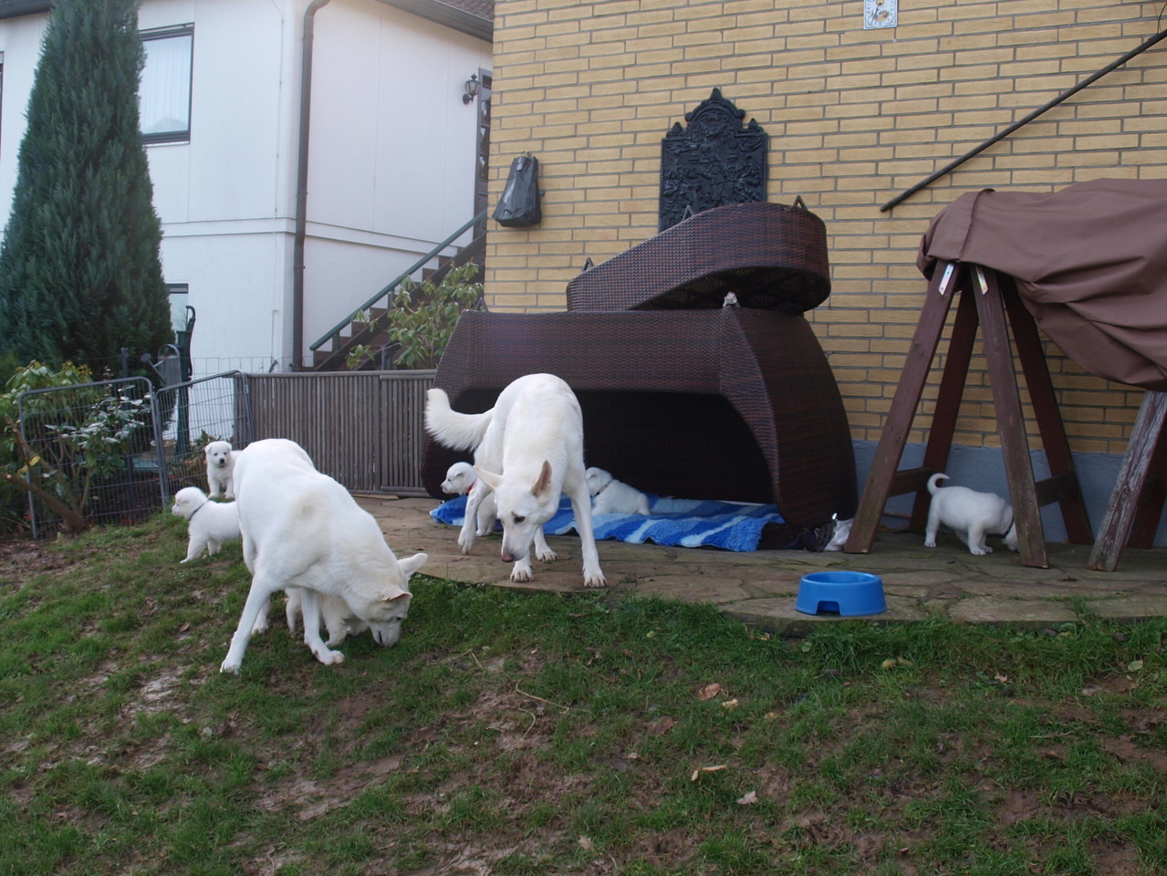 Wir sind im Garten