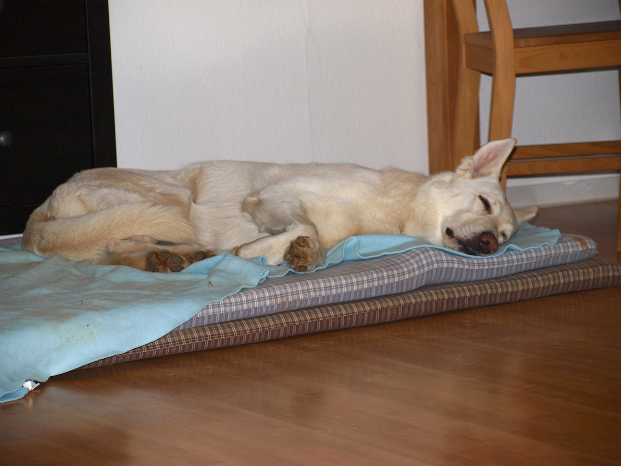 Gaia entspannt sich