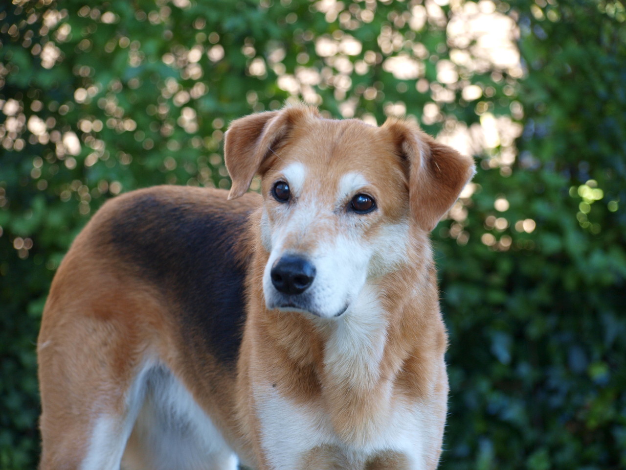 Ronja hat auch alles im Blick