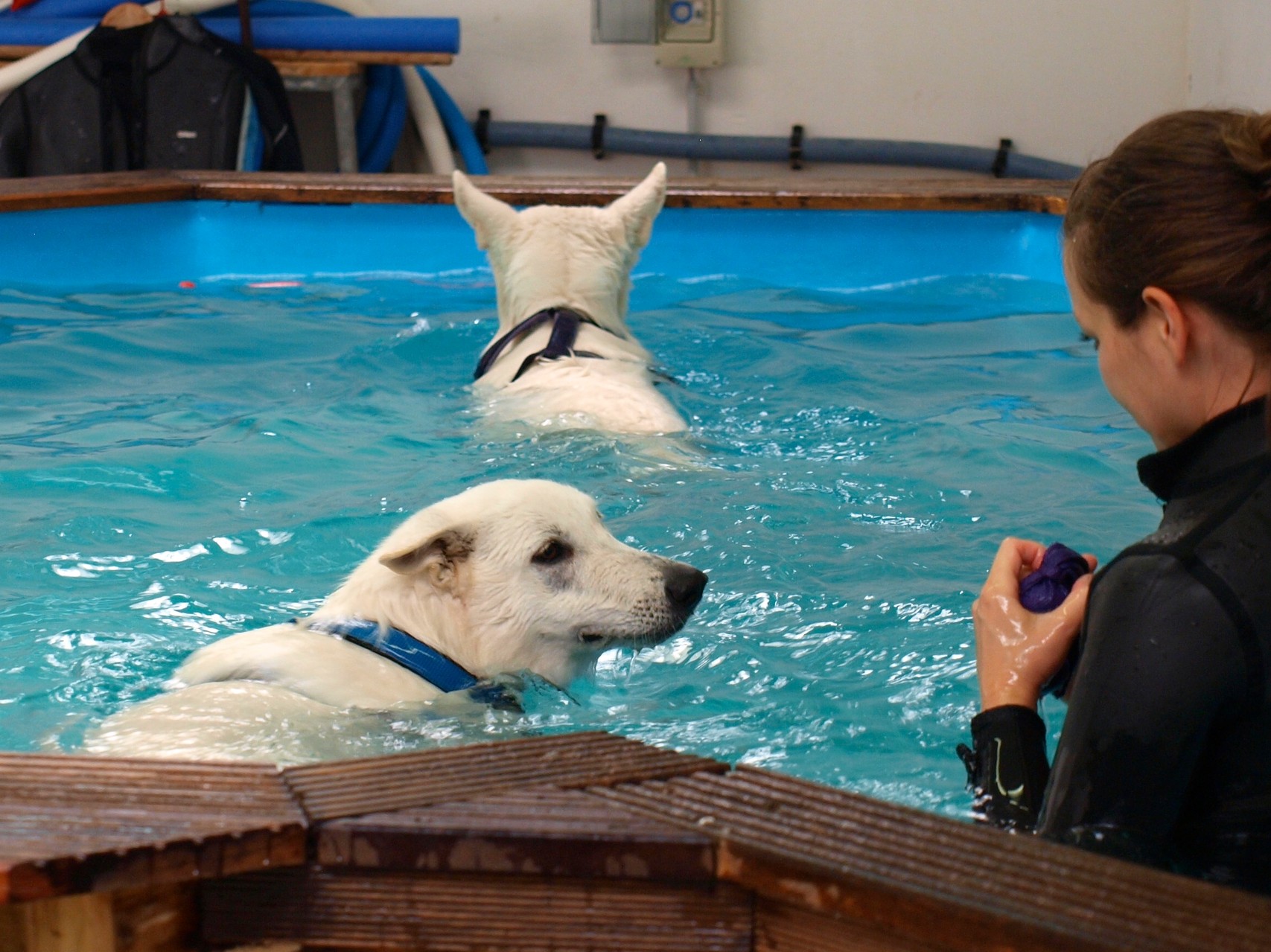 immer mit Gaia zusammen im Becken