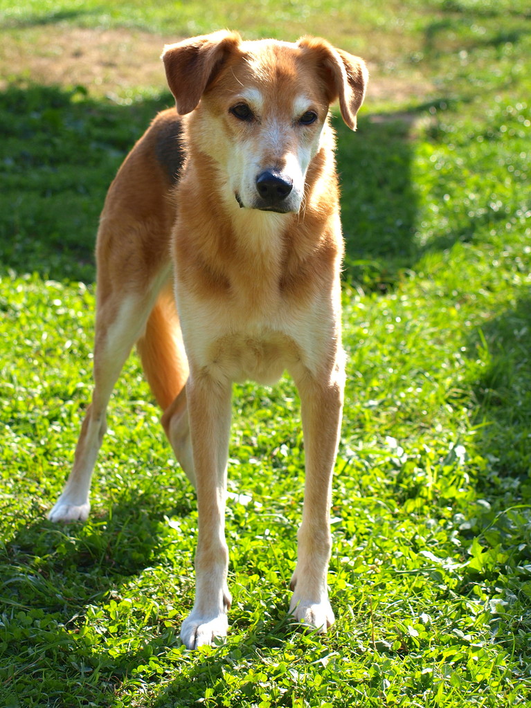 Das Geburtstagskind Ronja