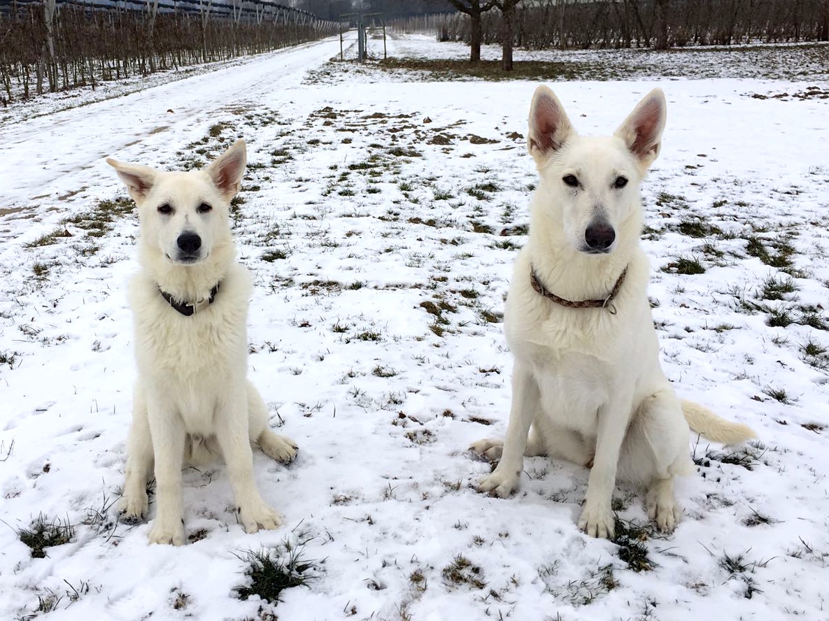 Merlin und seine Tante Abey leben zusammen