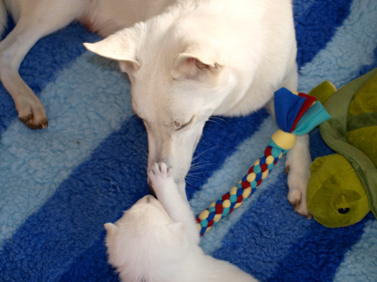 Mama, komm lass uns spielen
