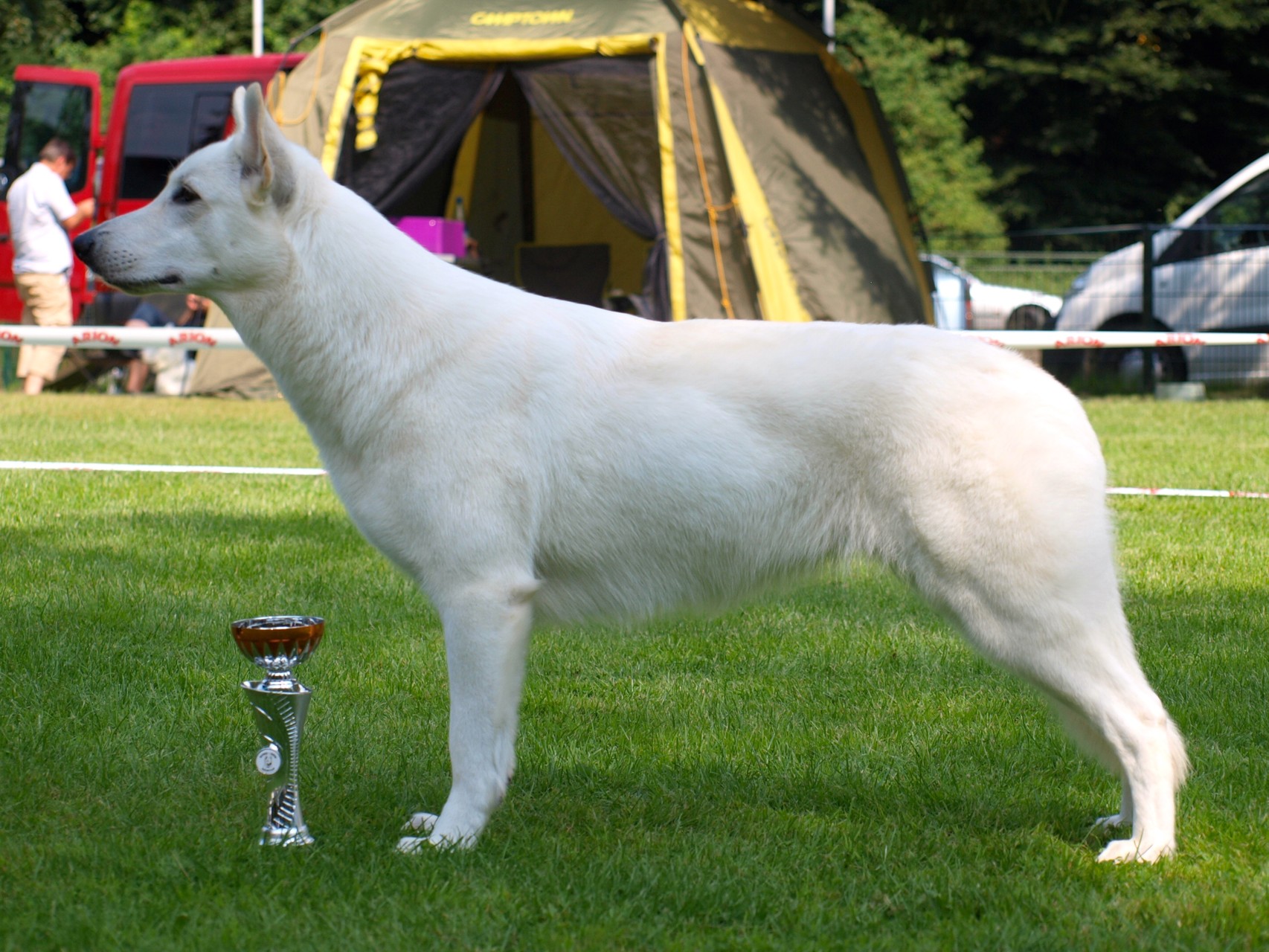 mit Pokal