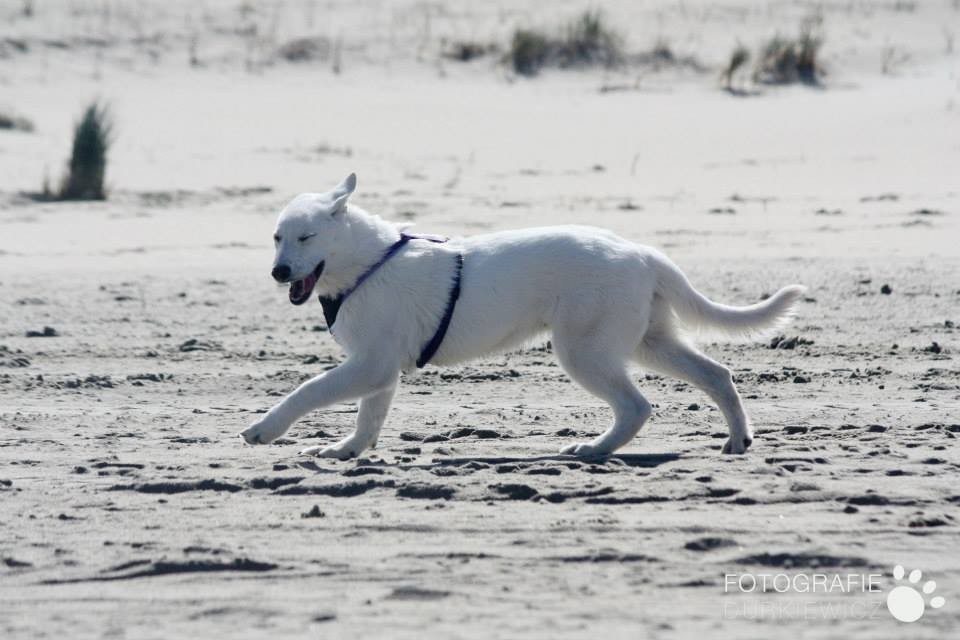 ups, da hat wohl eine Sand im Auge