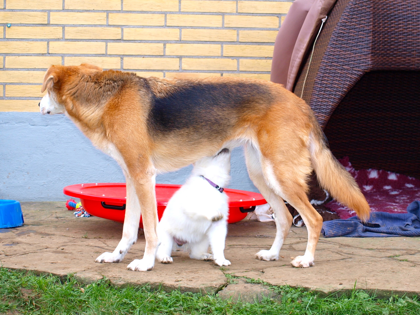 Hast du auch Milch?