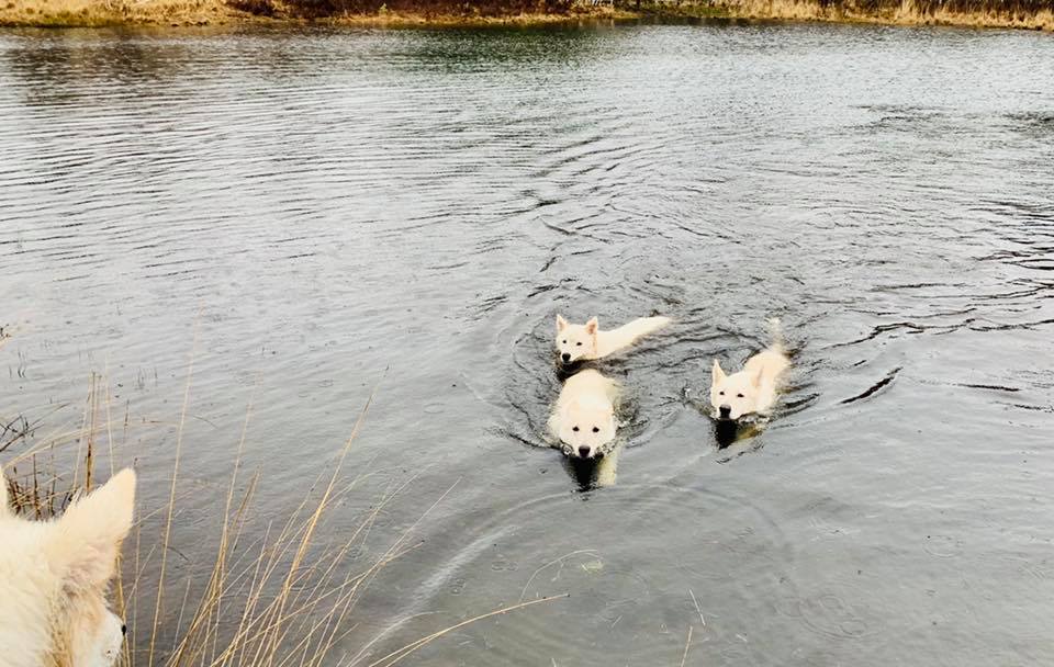 Milka, Luigi und Nayeli paddeln ne Runde