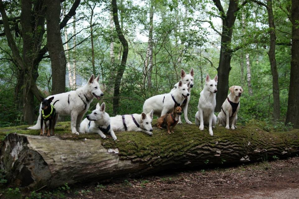 Otto, Milow, Akira, Aiyana, Emma, Milka, Luigi, Gaia, Maya