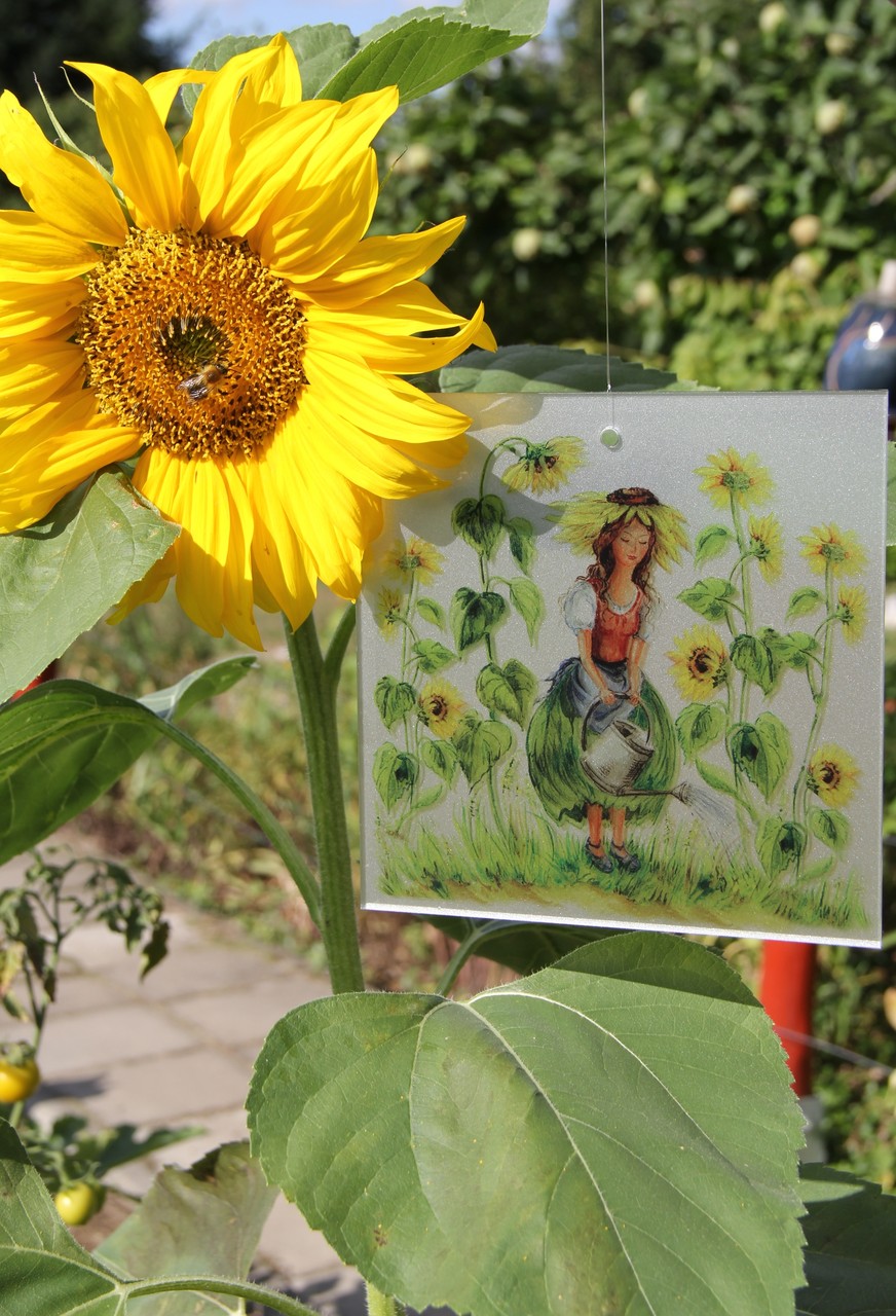 Fensterbild Blumenfrau Sonnenblume Sonnenblumenfrau