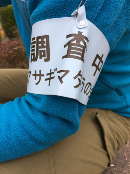 アサギマダラの調査をしています