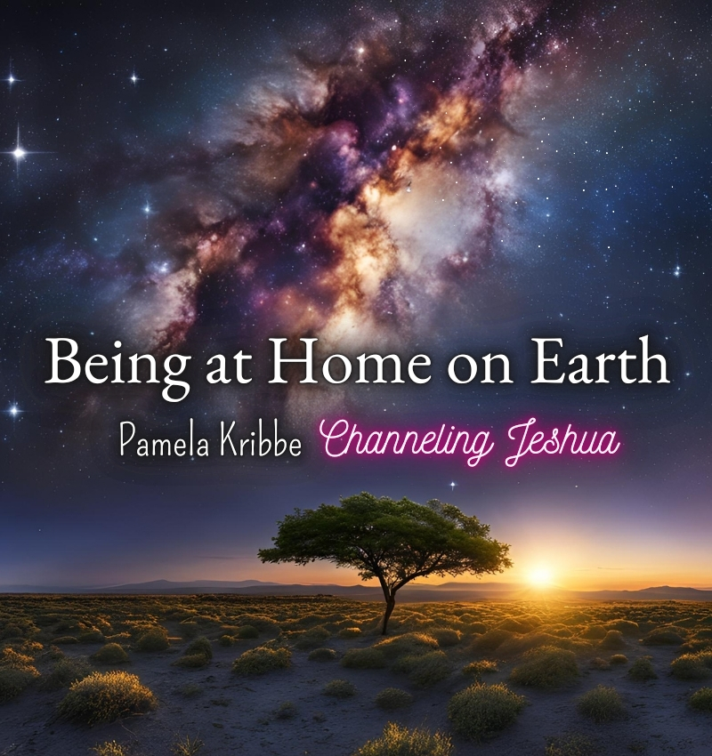 Being at Home on Earth