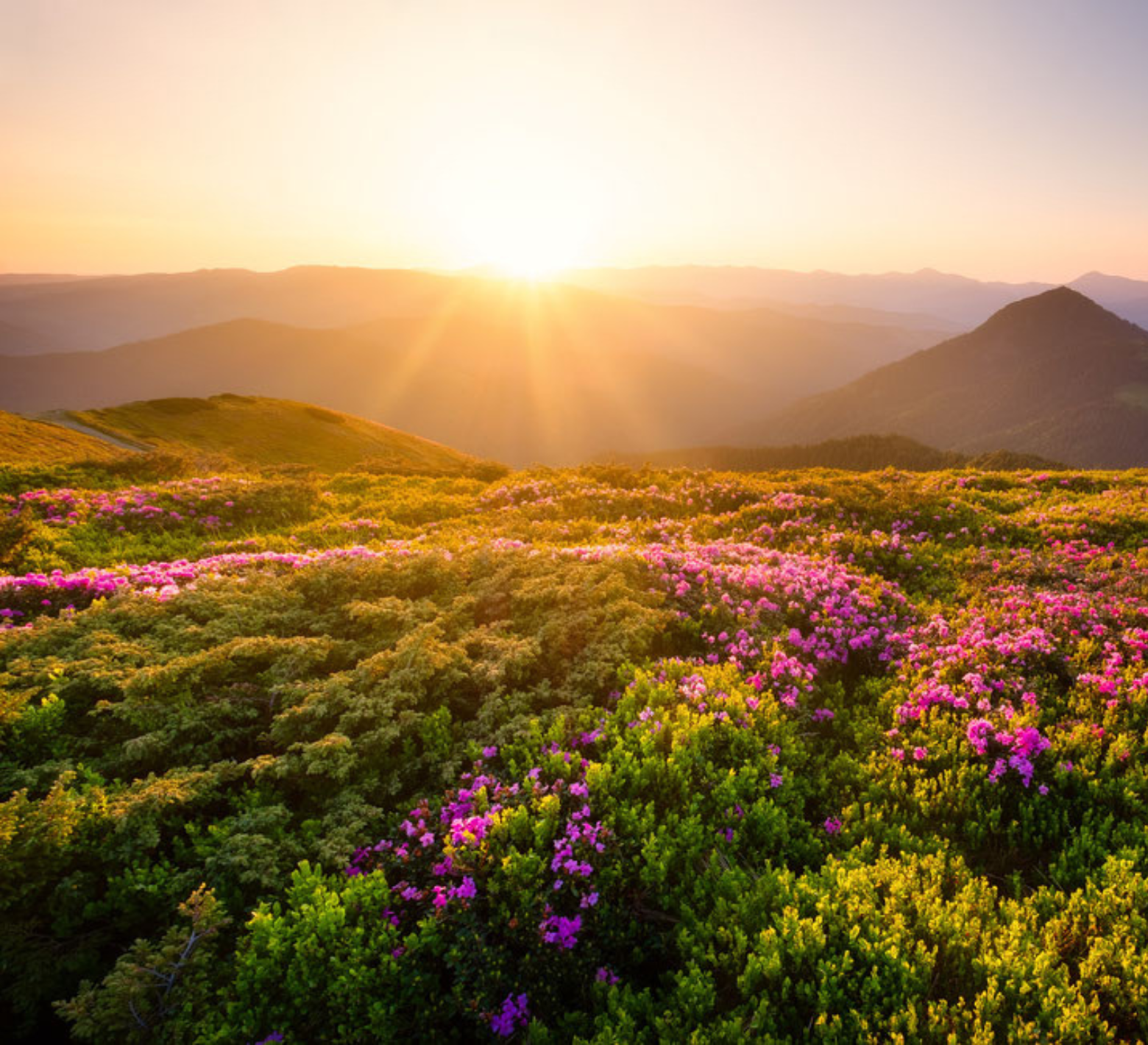 The energy of unconditional love