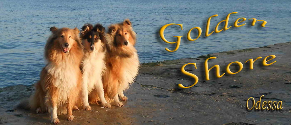 "GOLDEN SHORE" - ODESSA