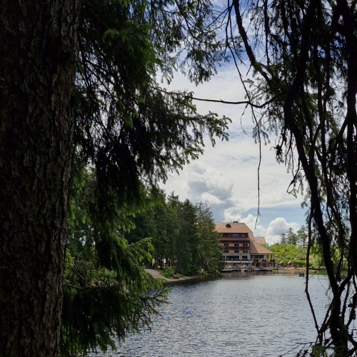 AWO Ausflug zum Mummelsee