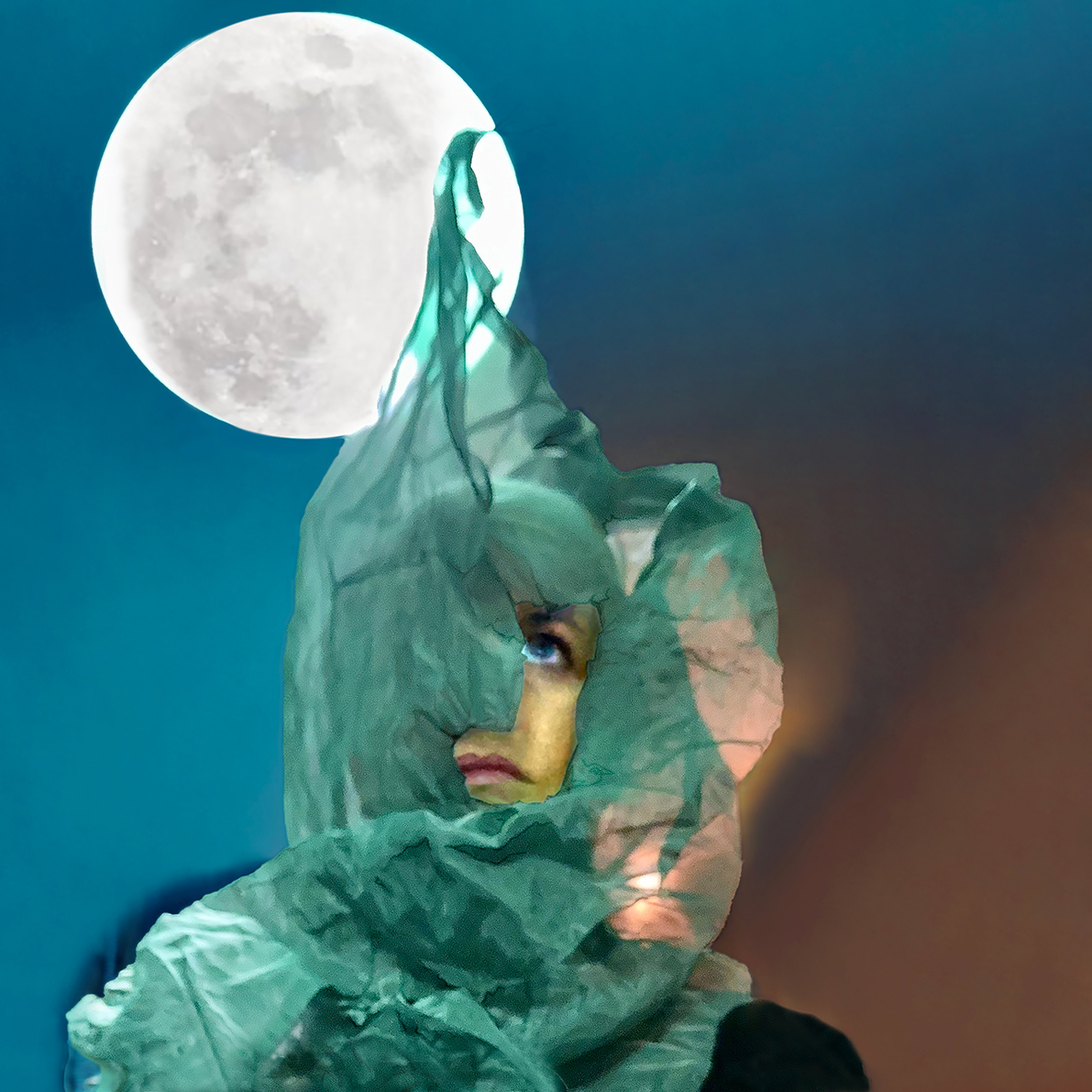 Ela Nord, Moonlight Collecting, 2023, co Ela Nord