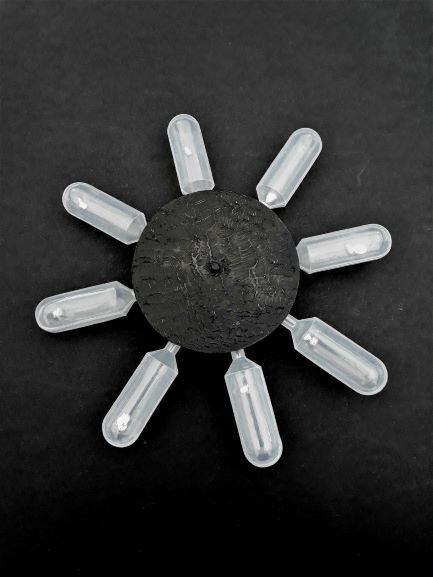 Eva Tesarik, My Wheel, 2021, co Eva Tesarik