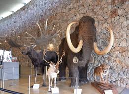 musee de la préhistoire des gorges du verdon